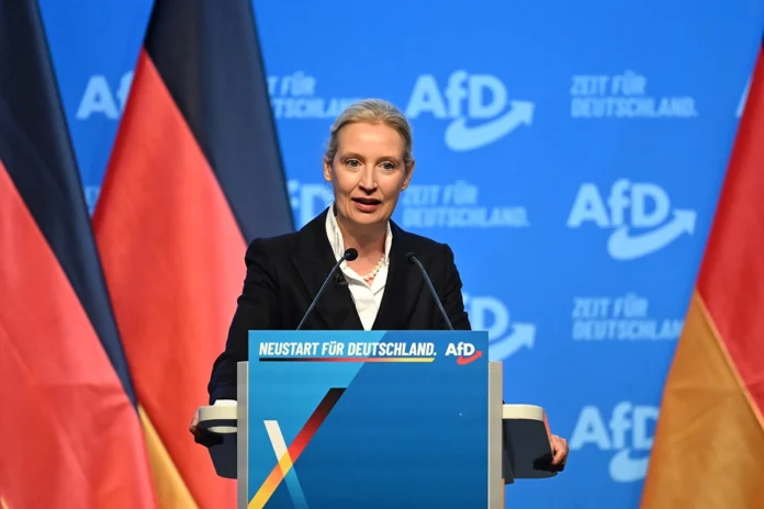 Šefica AfD-a: Ukinućemo evro, zatvoriti granice i izaći iz Šengena