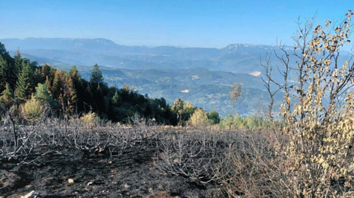 Požarište na Trebeviću pod kontrolom, kiša ugasila većinu požarnih linija