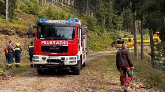 Radnik iz BiH poginuo tokom popravke kamiona u Austriji: Vlasnik i mehaničar oslobođeni optužbi