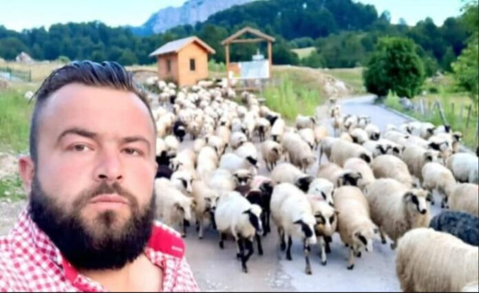 Enesu iz Trnova psi lutalice uništili stado ovaca: 