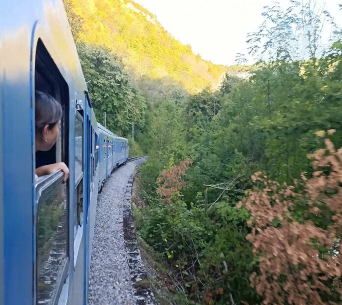 Zeničanin Nisvet Čajlaković tokom čišćenja pruge zadobio smrtonosnu povredu noge
