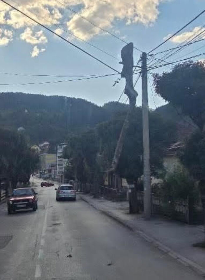 Rogatica: Kamion s balvanima zapeo za elektro-mrežu