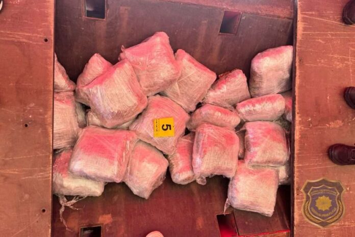 U akciji FUP-a ‘Kamen’ oduzeto oko 100 kilograma droge, uhapšena jedna osoba iz Konjica