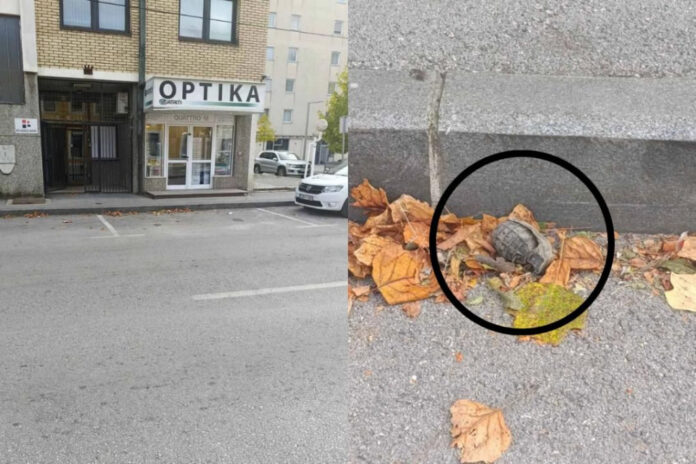 Neko ostavio bombu ispred dopisništva Radiotelevizije Herceg-Bosne u Kiseljaku